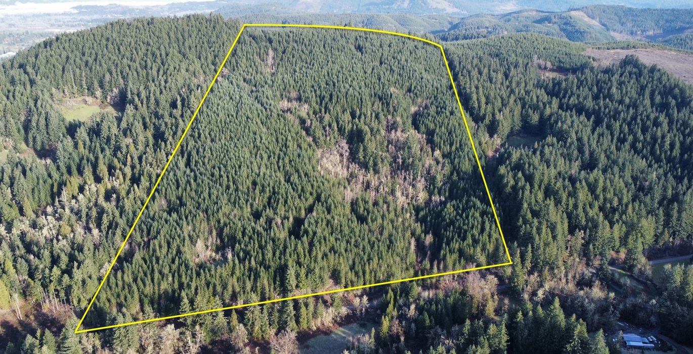 Dji fly 20240225 084630 430 1708879675111 photo optimized