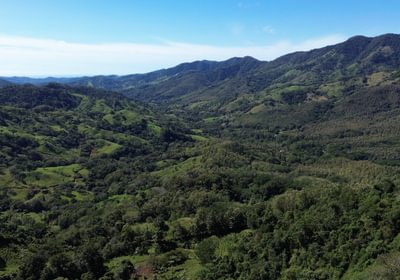 Farm san rafael 01