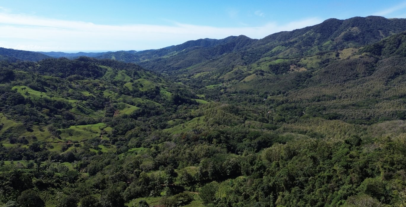 Farm san rafael 01