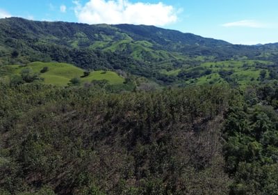 Farm san rafael 02