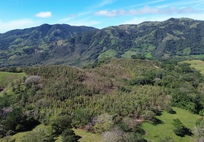 Farm san rafael 03