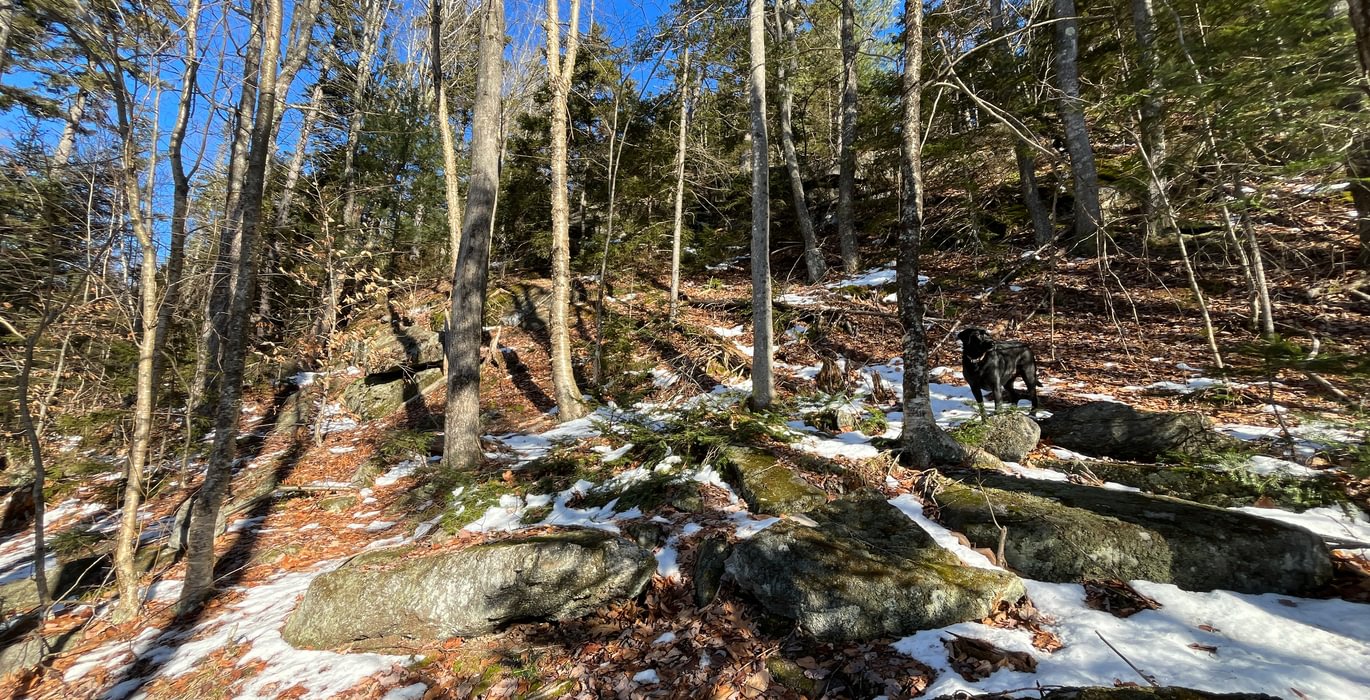 Interesting topography