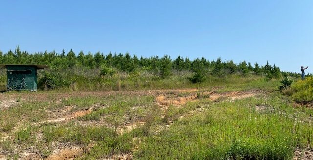 Photo 23 of L Jordan, 574 acres, Cherokee County, Texas