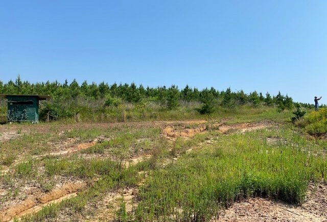 Photo 23 of L Jordan, 574 acres, Cherokee County, Texas