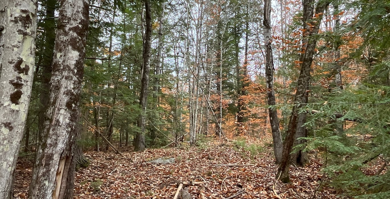 Old trail 2