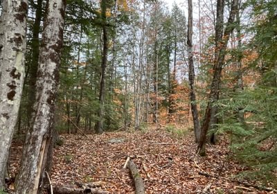 Old trail 2