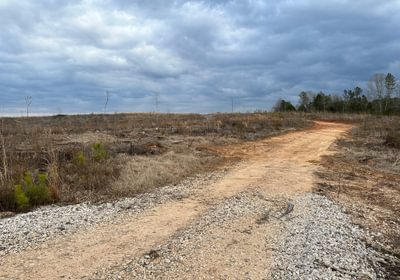 Rd IMG 4921