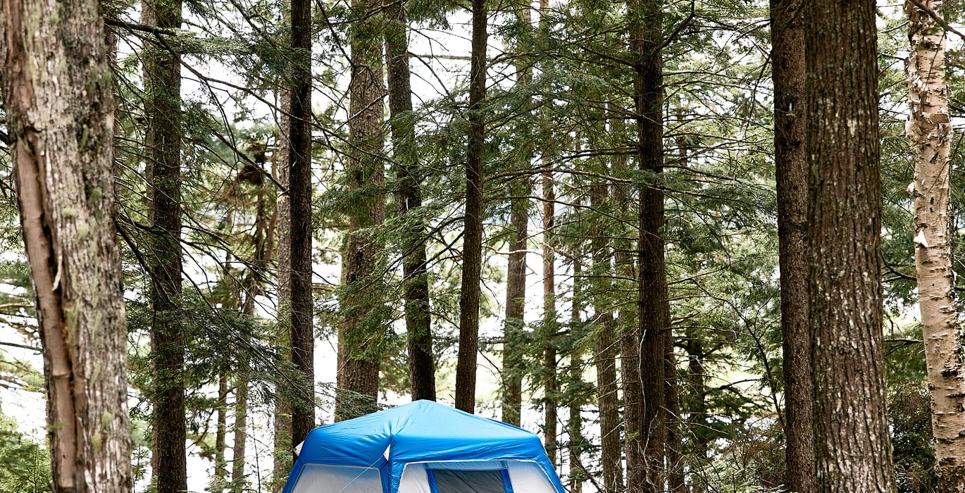 Room for tenting
