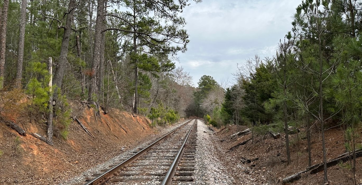 Rr IMG 4795