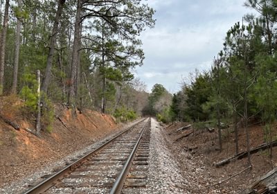 Rr IMG 4795