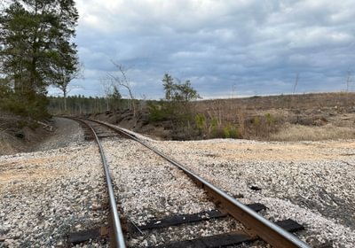 Rr IMG 4917