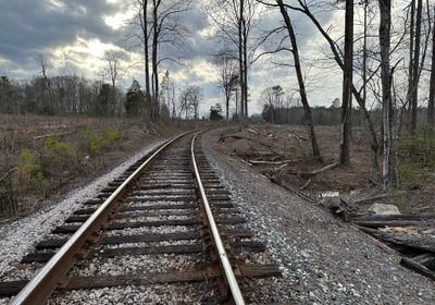 Rr IMG 4918