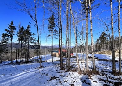 Skidder road looking back to view