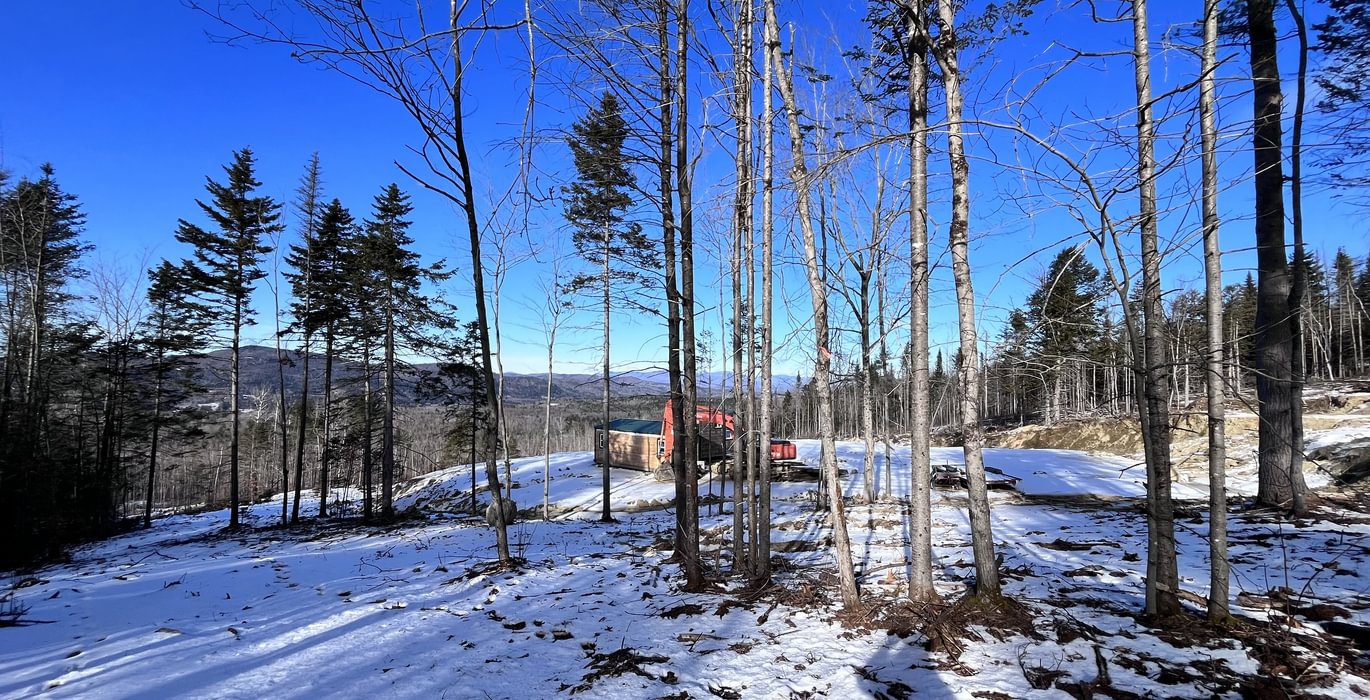 Skidder road looking back to view