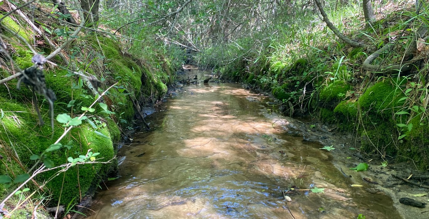 Stream b