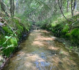 Stream b