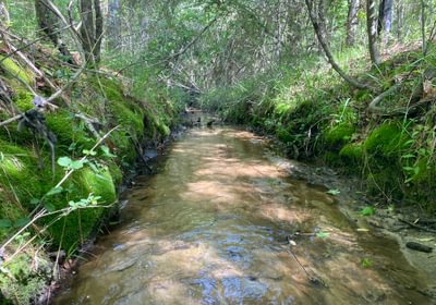 Stream b